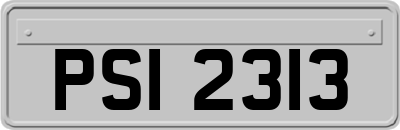 PSI2313