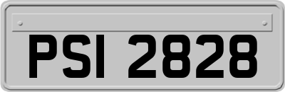 PSI2828