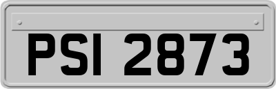 PSI2873