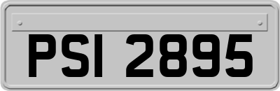 PSI2895