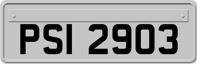 PSI2903