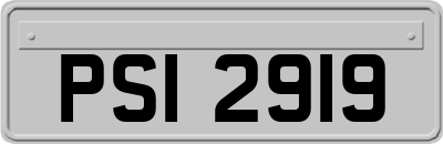 PSI2919