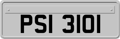 PSI3101