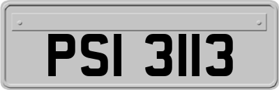 PSI3113
