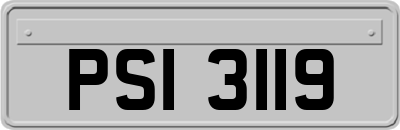 PSI3119