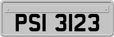 PSI3123