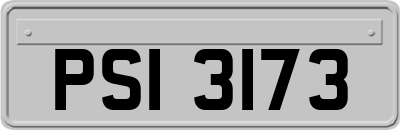 PSI3173