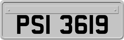 PSI3619