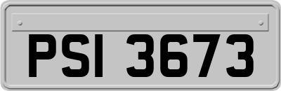 PSI3673