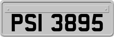 PSI3895
