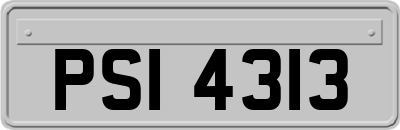 PSI4313