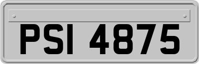 PSI4875