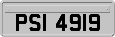 PSI4919