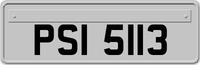 PSI5113