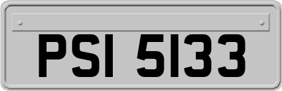 PSI5133