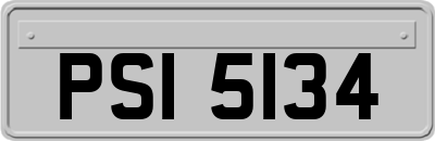 PSI5134