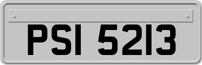 PSI5213