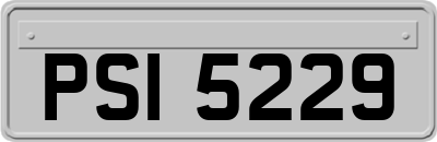 PSI5229
