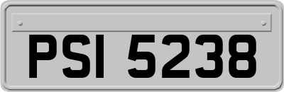 PSI5238