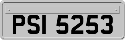 PSI5253
