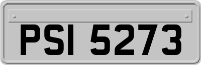 PSI5273