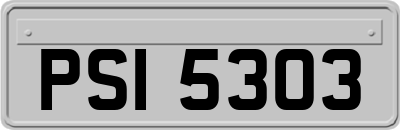 PSI5303