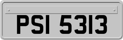 PSI5313