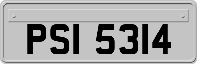 PSI5314