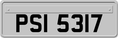 PSI5317