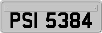 PSI5384