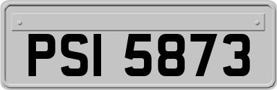 PSI5873