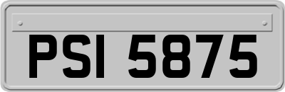 PSI5875