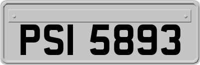 PSI5893