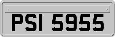 PSI5955