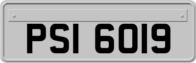 PSI6019