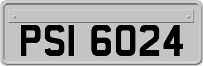PSI6024