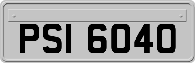 PSI6040