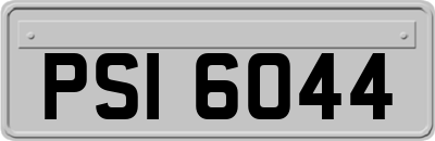 PSI6044