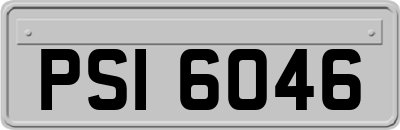 PSI6046