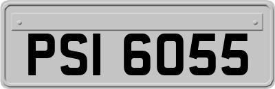 PSI6055