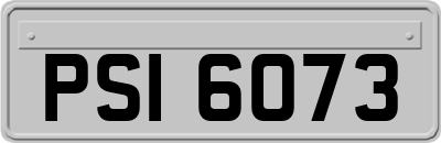 PSI6073