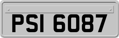 PSI6087