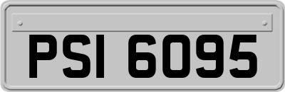 PSI6095