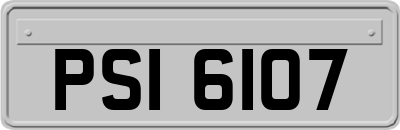 PSI6107
