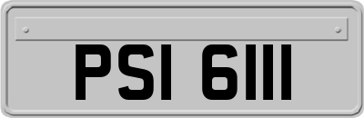 PSI6111