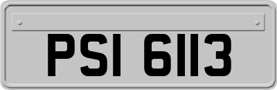 PSI6113