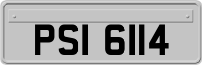 PSI6114