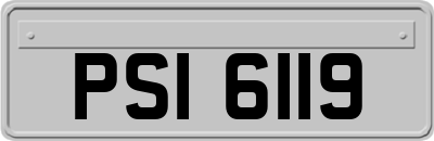 PSI6119