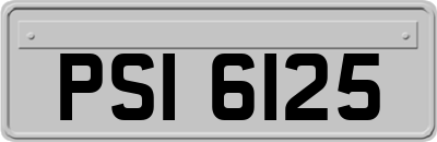 PSI6125