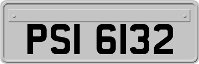 PSI6132